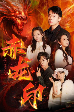 赤龙印（80集）更新时间