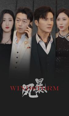 风暴（77集）好看的短剧分享