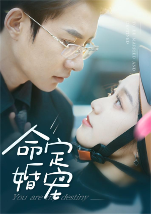 命定婚宠（61集）大结局