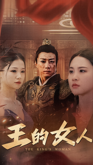 王的女人（60集）让你一口气看完