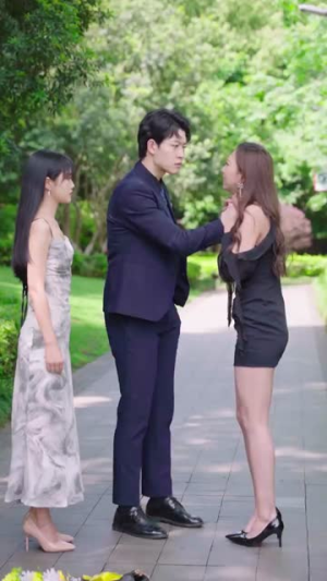 霍总，你别婚了头（100集）精彩短剧看全集