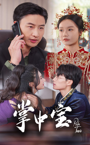 掌中宝（31集）解说