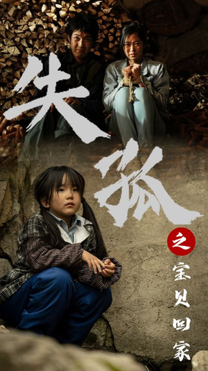 失孤之宝贝回家（71集）演员表