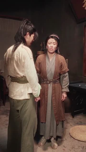 精忠报国（41集）全网独播免费看