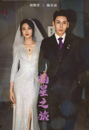 摘星之旅（88集）短剧追到爽