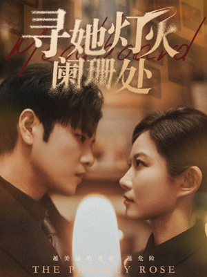 寻她灯火阑珊处（61集）红果短剧看全集