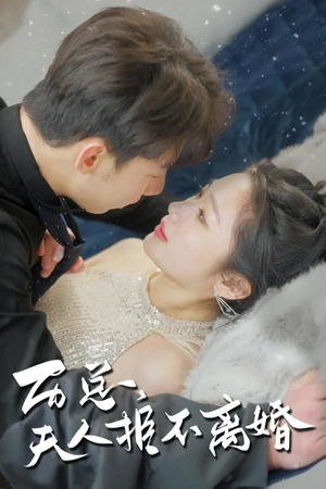 历总，夫人拒不离婚（61集）80到100集