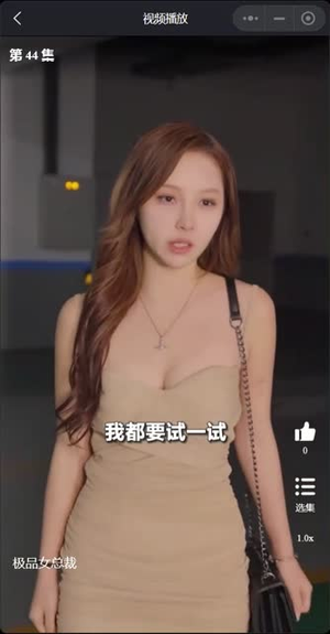 我的富豪美女总裁（我的极品女总裁）短剧在哪个平台