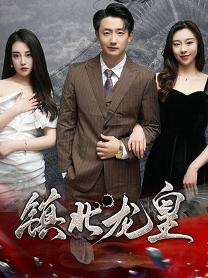 镇北龙皇（97集）在线看免费版