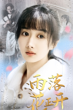 雨落花正开(62集) 雨落花正开(62集)热门爆款短剧
