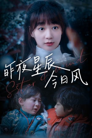 昨夜星辰今日风（62集）免费短剧推荐