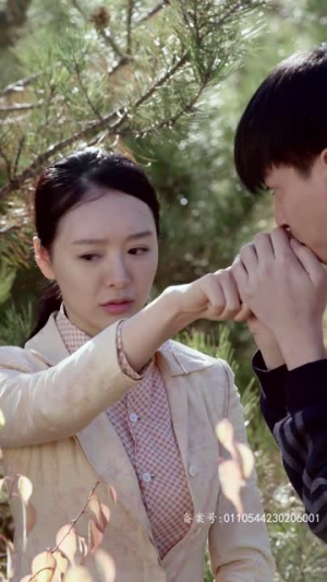 桃花沟（杏花沟）短剧免费看