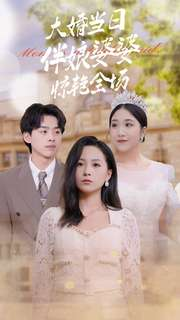 大婚当日伴娘婆婆惊艳全场（30集）爆款短剧追不停