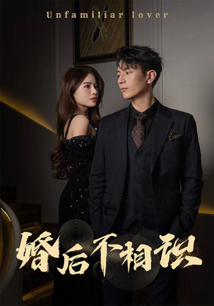 婚后不相识（100集）番茄短剧看全集