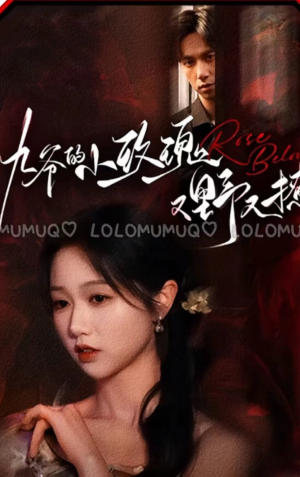 九爷的小玫瑰又野又撩（100集）短剧演员排行榜