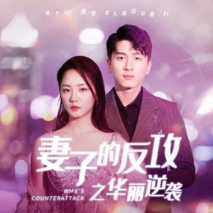 妻子的反攻之华丽逆袭（30集）一口气看完全集