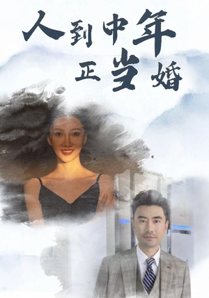 人到中年正当婚（81集）爱上了这部剧了