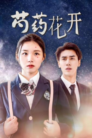 火光中的芍药花（77集）最后一集