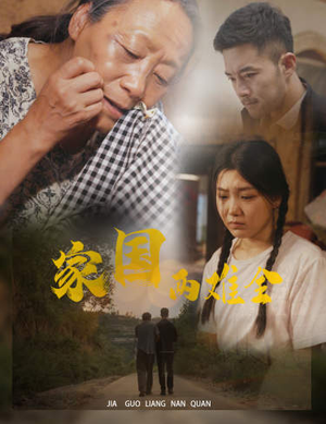 家国两难全（62集）温柔追捕短剧