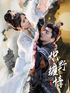 炽野缠情（95集）免费版