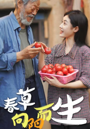 春草向阳而生（53集）精彩短剧看不停