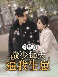 闪婚后战少每天逼我生崽（91集）免费观看完整版