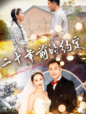 二十年前的约定（57集）第一季