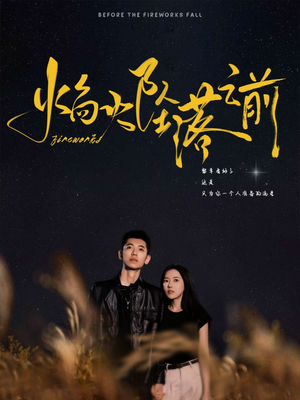 焰火坠落之前（99集）河马免费短剧