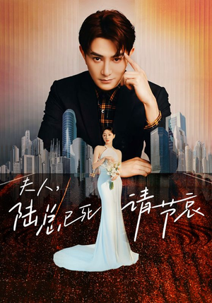 夫人，陆总已死请节哀（95集）短剧全集免费看