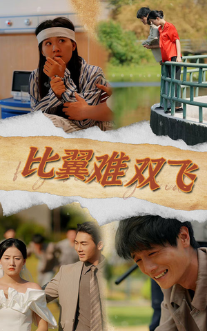 比翼难双飞（30集）百亿短剧抢先看