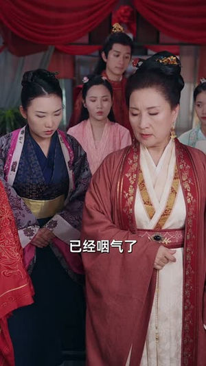 昭昭殊荣（65集）大结局完美收官