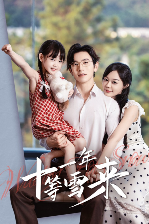 十一年等雪来（50集）集免费看短剧