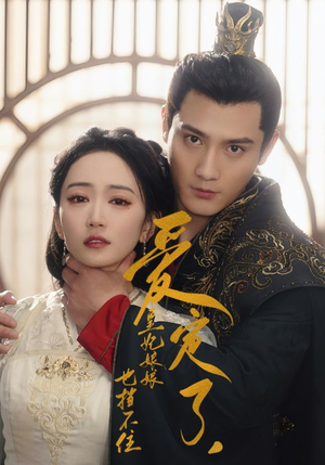 爱定了，皇妃娘娘也挡不住（72集）在线免费观看