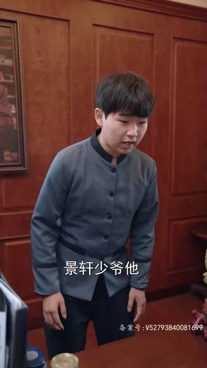 我成了段总的腹黑女保镖（67集）网盘在线观看