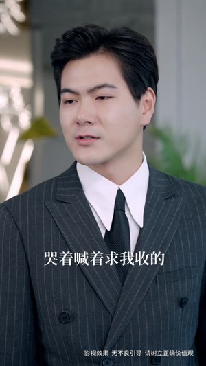 辞职离婚变大佬（30集）短剧小说在线看