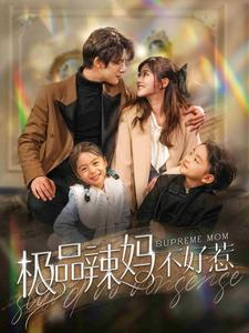 极品辣妈不好惹（86集）热门短剧推广