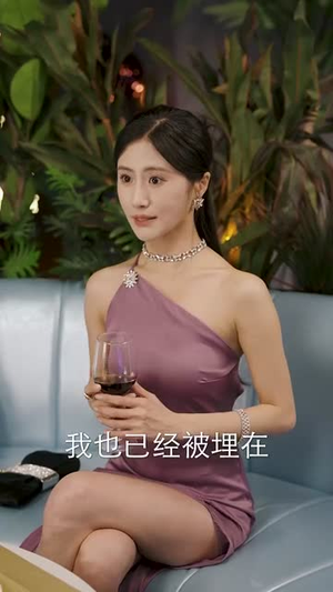 预言相机（74集）解说