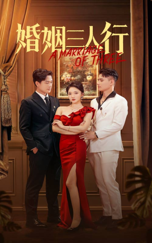 婚姻三人行（31集）短剧越看越精彩
