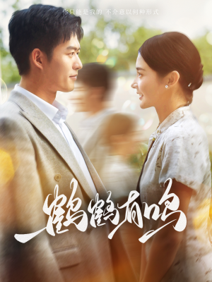 鹤鹤有鸣（87集）好看上头短剧