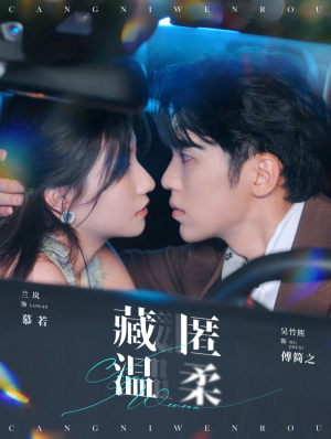 藏匿温柔（99集）演的怎么样