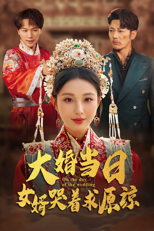 大婚当日，女婿哭着求原谅（31集）高清无码免费看