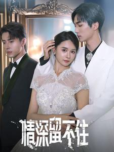 情深留不住（80集）精彩短剧分享