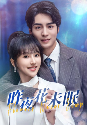 昨夜花未眠（32集）免费短剧完整版