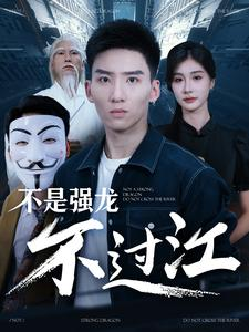 不是强龙不过江（98集）口碑之选免费看