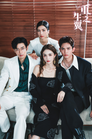 重生之翼（56集）全集都在这里了