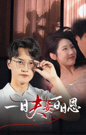 一日夫妻百日恩（30集）免费看全网短剧