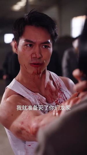 破楼长风（80集）好看短剧又来了