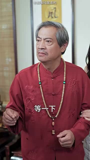 鬼谷传人(90集) 鬼谷传人(90集)免费短剧资源