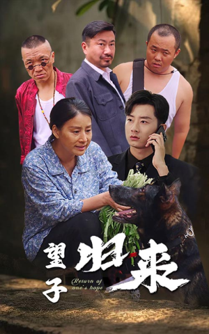 望子归来（50集）免费看