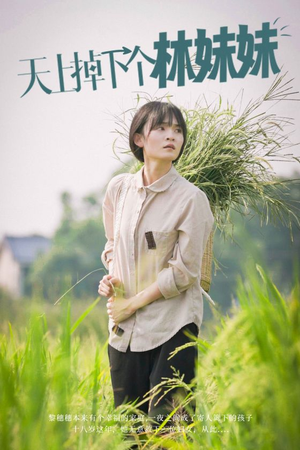 天上掉下个林妹妹（81集）短剧越看越精彩